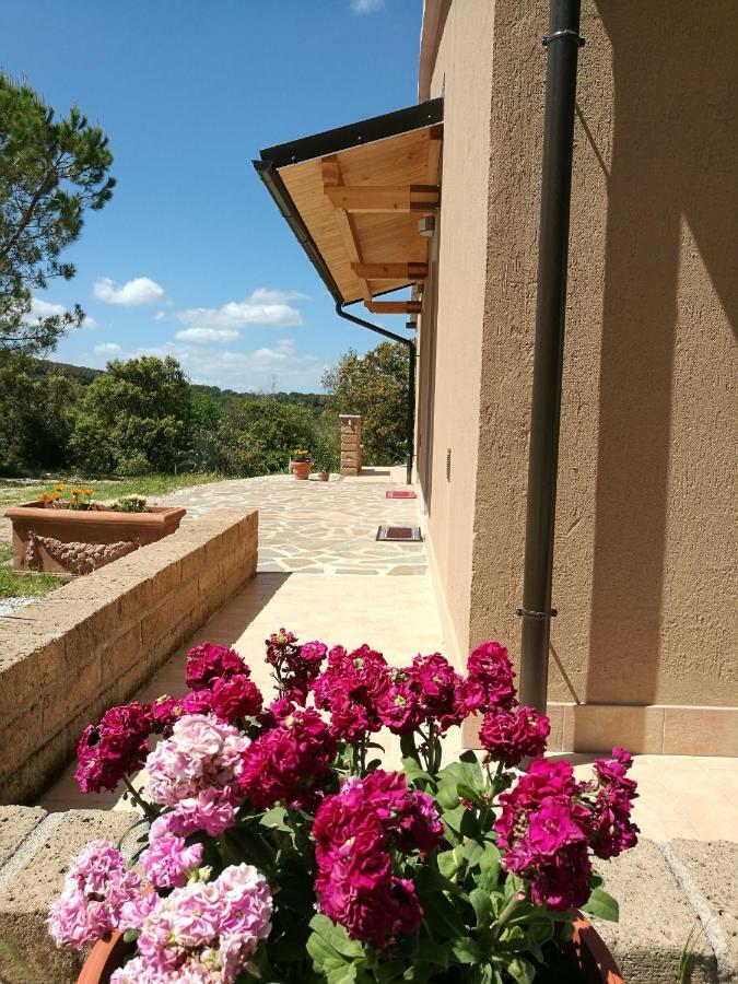 Sonnellino In Maremma Villa Massa Marittima Kültér fotó