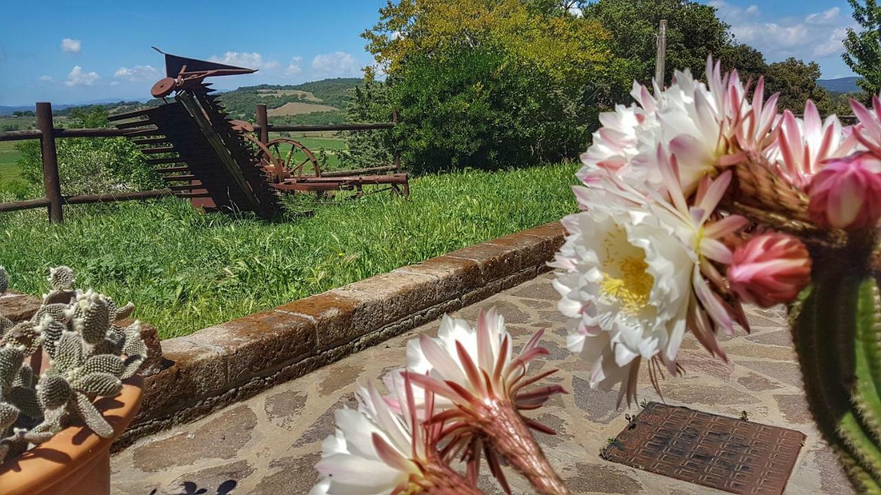 Sonnellino In Maremma Villa Massa Marittima Kültér fotó