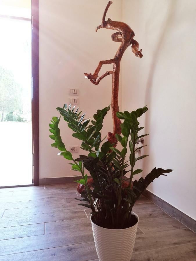 Sonnellino In Maremma Villa Massa Marittima Kültér fotó