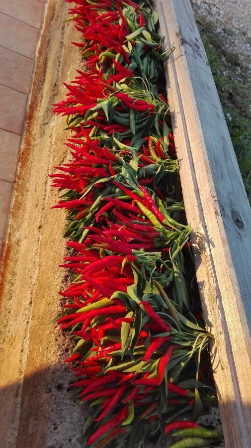 Sonnellino In Maremma Villa Massa Marittima Kültér fotó